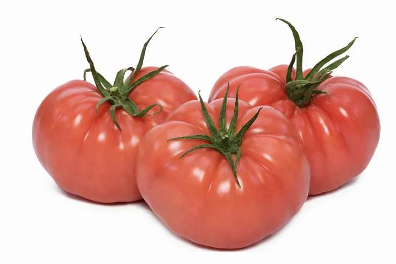 Domates Pembe (Yayla) stok görseli