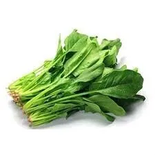 Ispanak (Yeni Mahsül) stok görseli